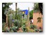 Mitten in Marrakech: ein Palmengarten zu Ehren von Yves Saint Laurant